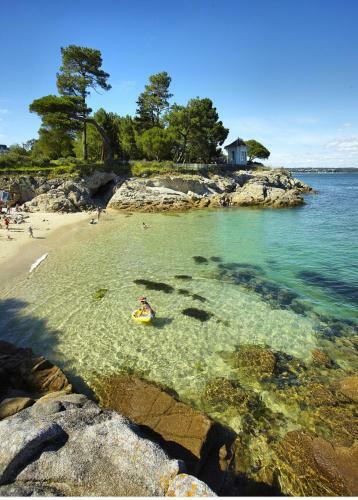Apartamento Location Appartement Meubl� Bord de Mer