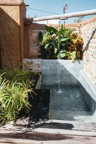 Luxury Wild Jungle Eco Villa Next To Cotillo