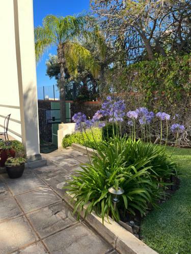 Apartamento Dream Garden