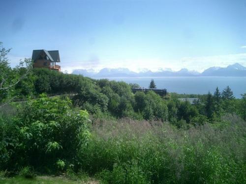 Lodge Homer Alaska Vacation Rental