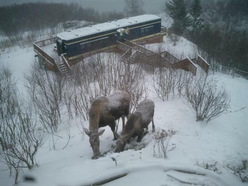 Lodge Homer Alaska Vacation Rental