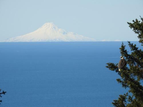 Lodge Homer Alaska Vacation Rental