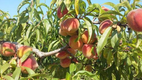 B&B Dal Pozzo