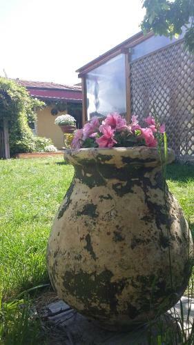 B&B Dal Pozzo