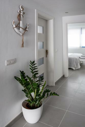 Ocean Apartament