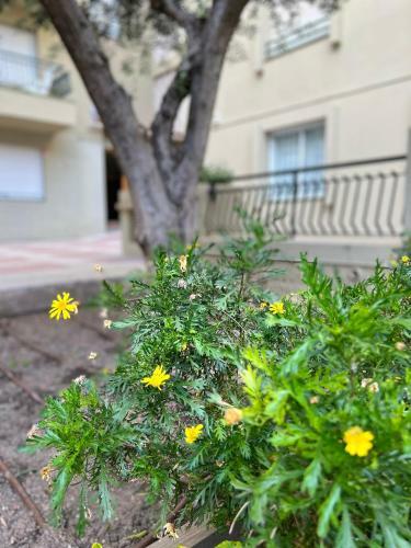Rancho Suizo Ground Floor Apartment