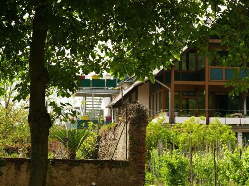Pleasant Apartment In Trittenheim With Garden