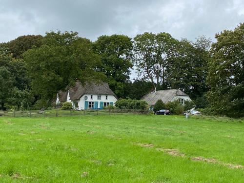 Moorhuus - Paradies Am Wilden Moor