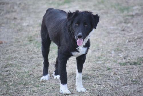 Agriturismo La Taverna