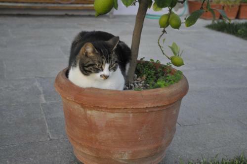 Agroturismo Casa Lucesole