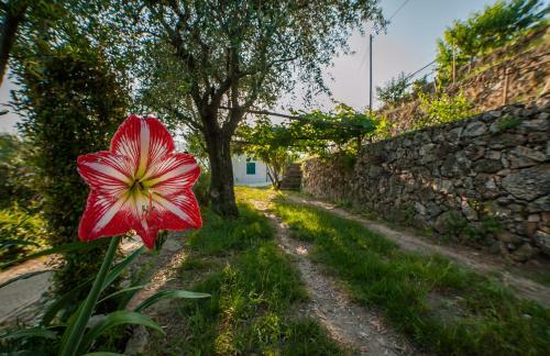 B&B Sopra Il Borgo