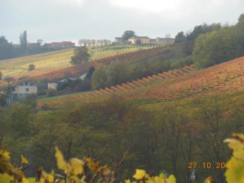 Agroturismo Agriturismo Cascina Tollu