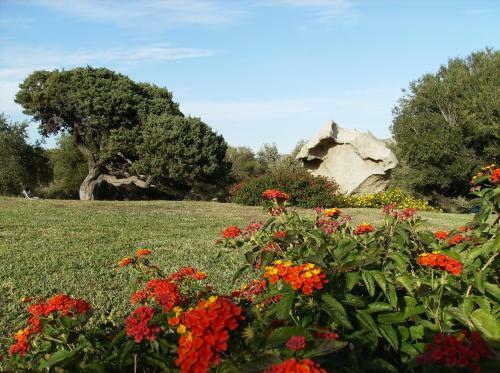 Bed & Breakfast Il Vecchio Ginepro