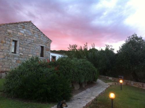Bed & Breakfast Il Vecchio Ginepro