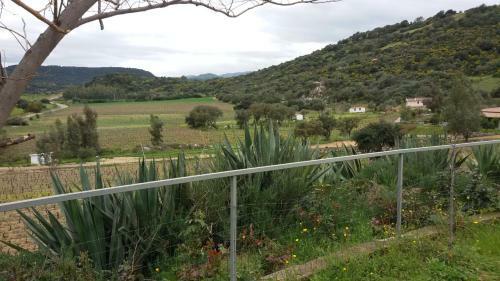 Agroturismo Agriturismo Su Solianu