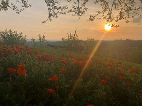 Agroturismo Podere Casato