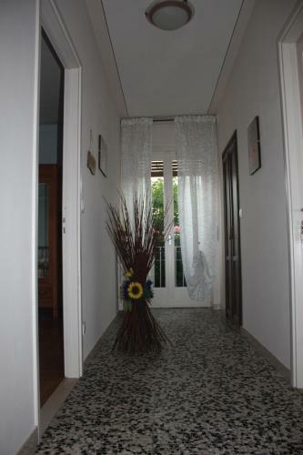 B&B Barucin