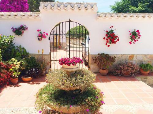 Villa El Delfin