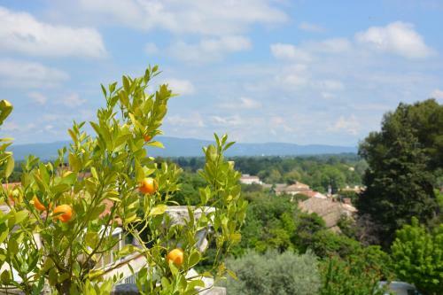 Bed & Breakfast Le Petit Chateau