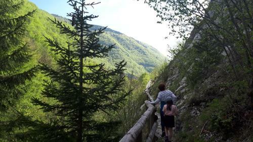 Village de Chalets Du Camping Le Valserine