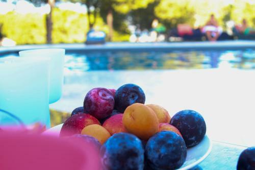Bed & Breakfast Greenvalley Bnb