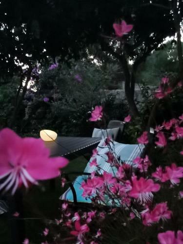 Il Giardino Rooms & Breakfast