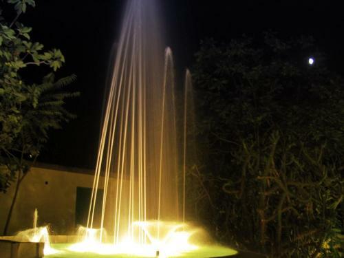 Hotel Albergo Villa Hibiscus