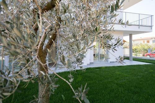 Apartment Bamboo - Regarda Travel