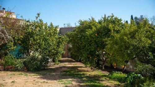 Apartamento Welcomely - San Pietro 9