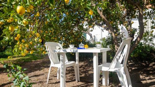 Apartamento Welcomely - San Pietro 9