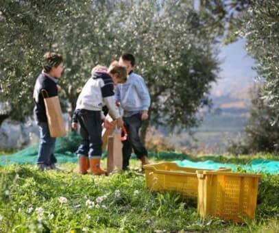 Agroturismo Agriturismo Funtan'arva