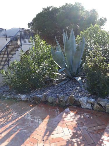 B&B La Madonetta - Dimora D'epoca -