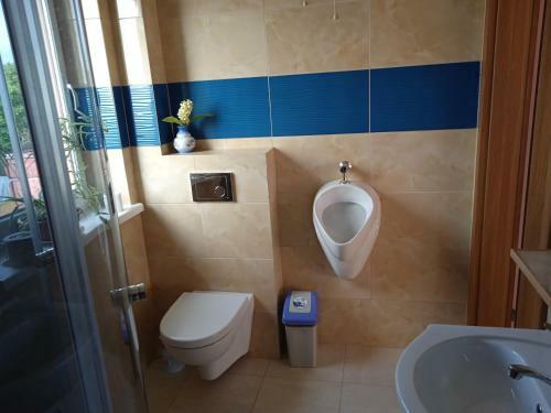 Hostal Agrostok Noclegi Agroturystyka