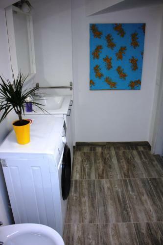 Villa Sonia Apartment & Rooms