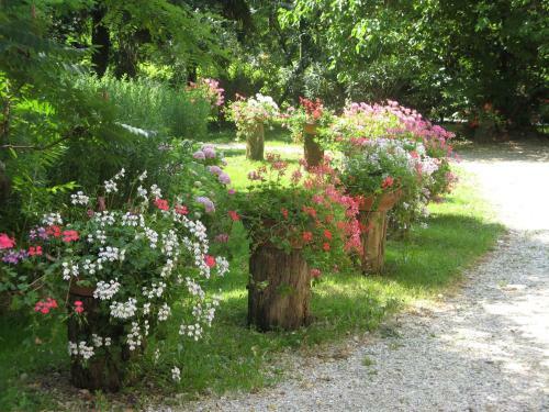 Agroturismo Bosco Romagno