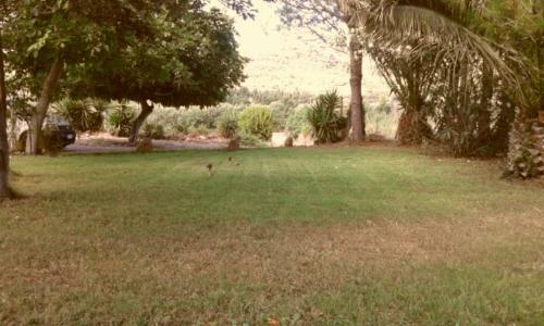 Bed & Breakfast Il Rosmarino