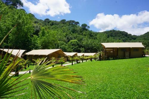 Can Bora Lodges