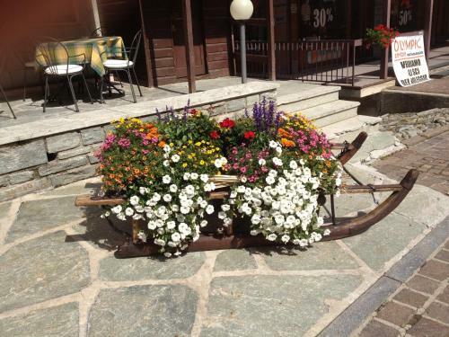 Hotel Albergo Soldanella