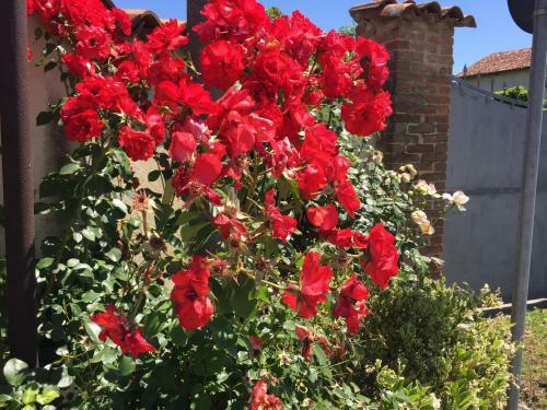Hostal C� Del Bunimur