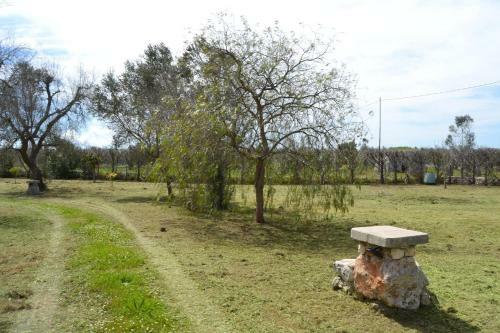 Dolce Pajara