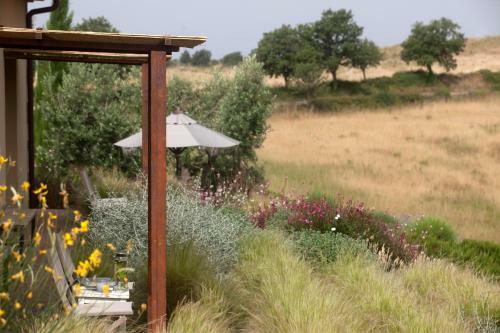 Bed & Breakfast Casale Sterpeti