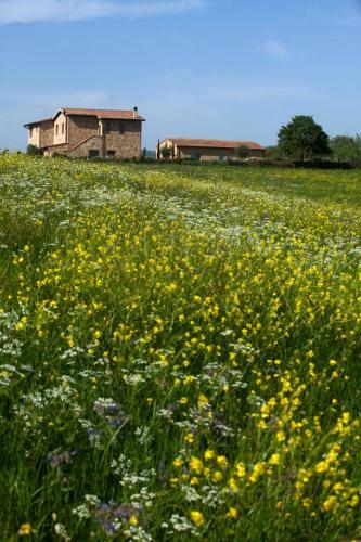 Bed & Breakfast Casale Sterpeti