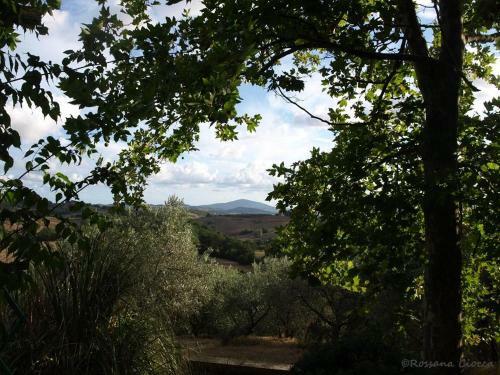Agroturismo Agriturismo Podere 3 Querce