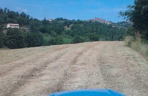 Agroturismo Il Laghetto Agriturismo