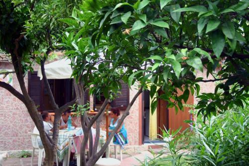 Hostal Capricornio Club