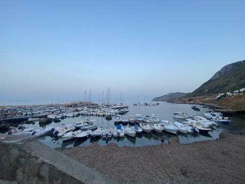 Hostal Isoladelmiele