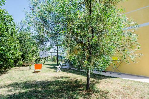 Agroturismo Podere Corte Alle Rose
