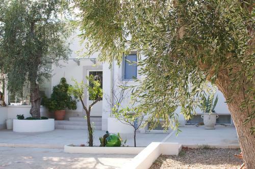 B&B Sperlonga