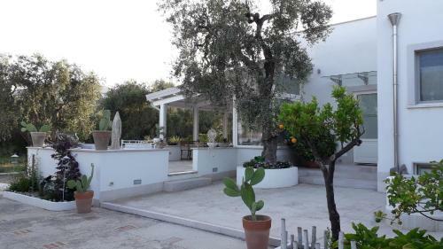 B&B Sperlonga