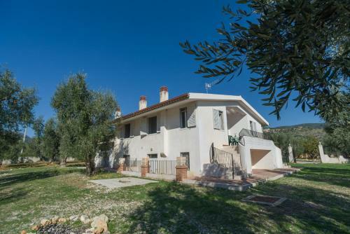 Villa Degli Ulivi